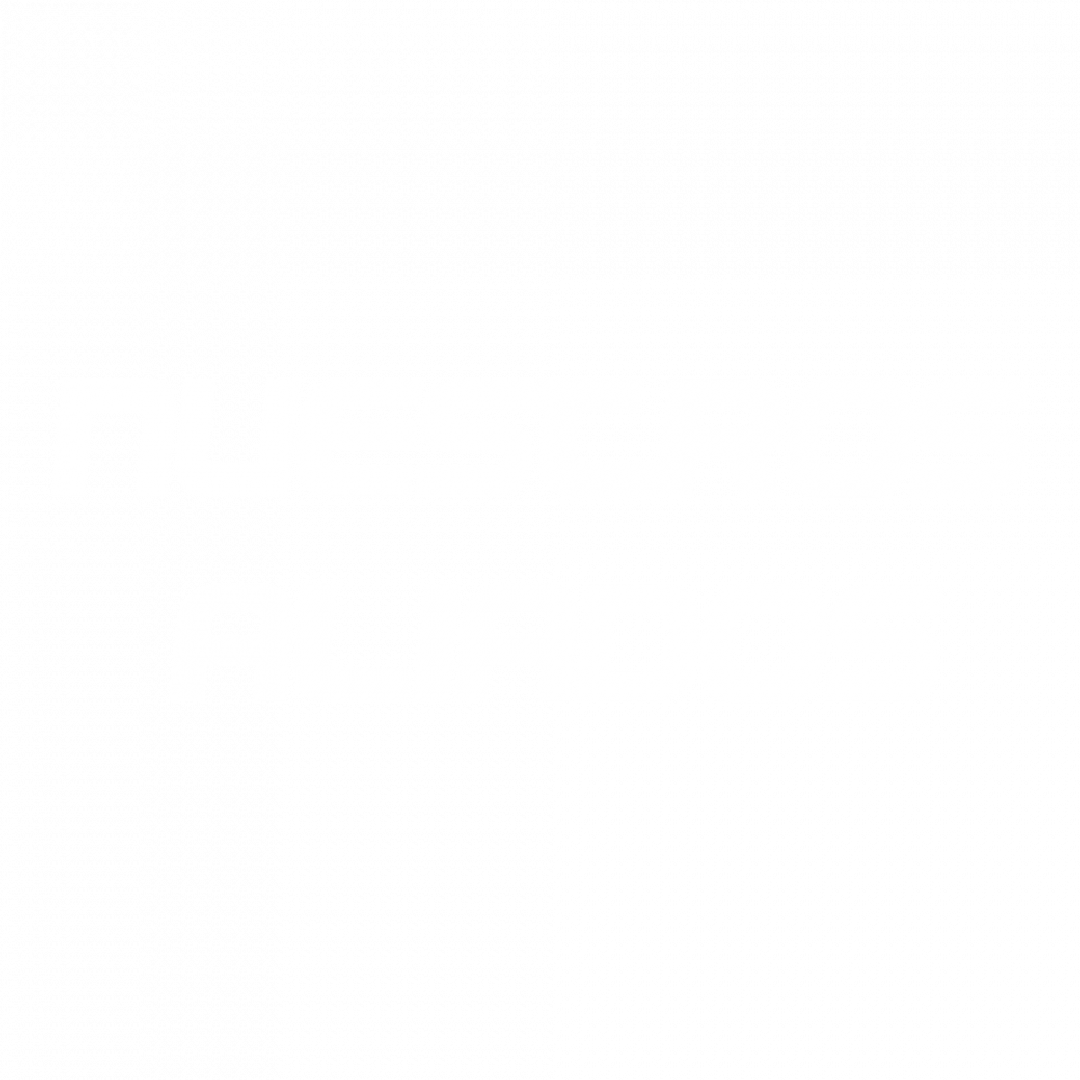 nuestros aliados